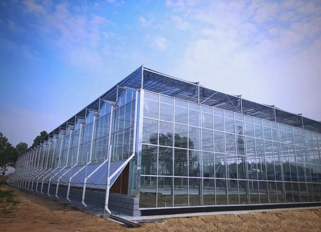 农业物联网集成系统:推动工厂化种植新革命